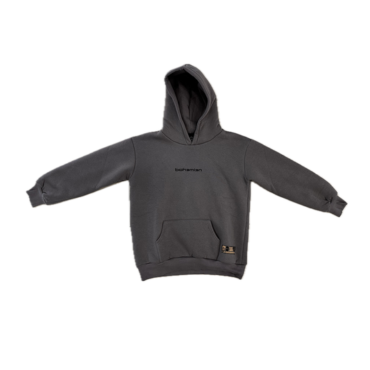Hoodie Big Puff Logo Grey